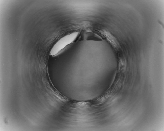 X0000094210465200710261214