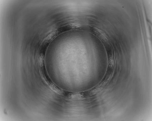 X0000094210468200710261214