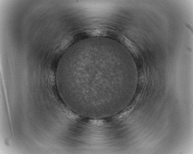 X0000094210469200710261214