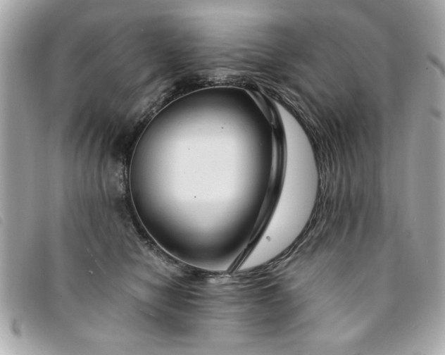 X0000094210470200710261214