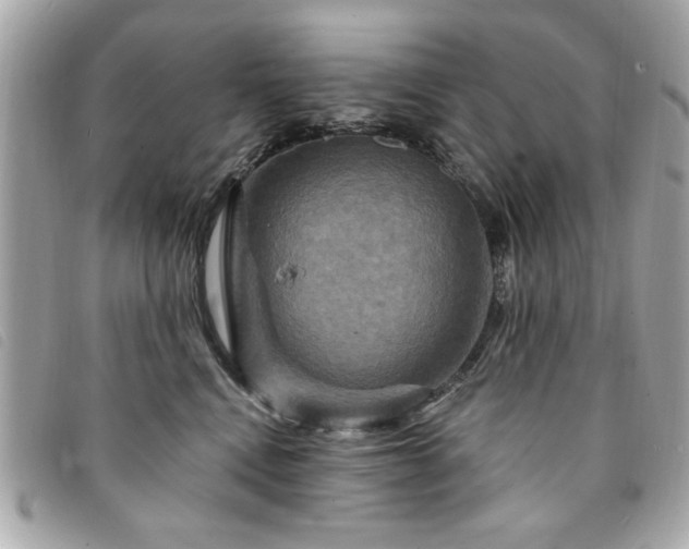 X0000094210472200710261214