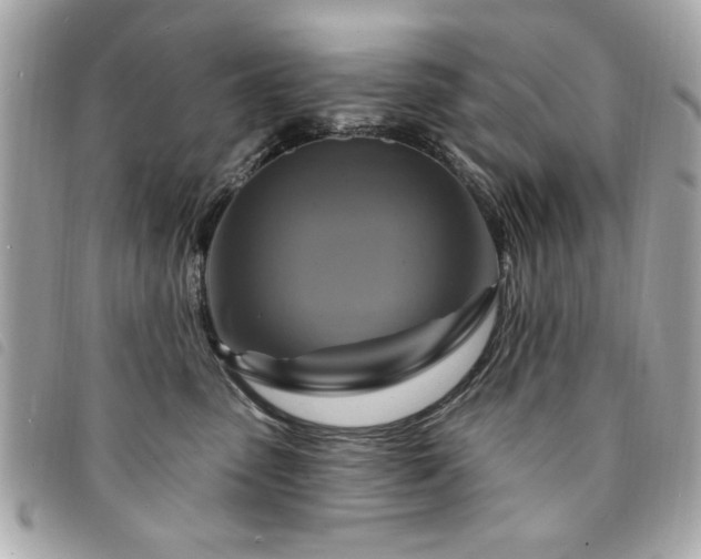 X0000094210475200710261214