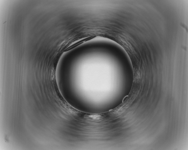 X0000094210478200710261214