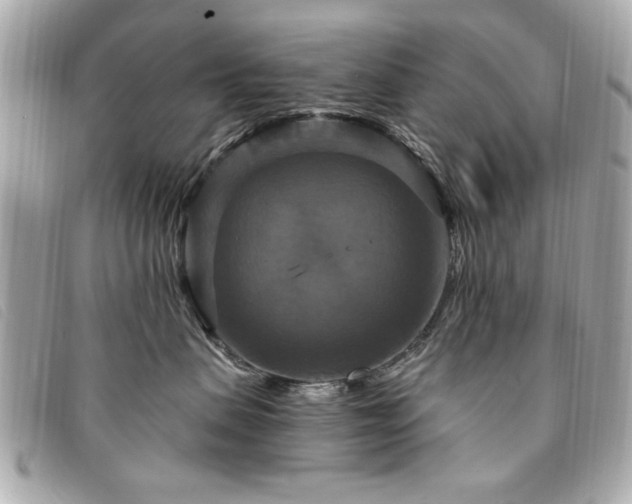 X0000094210479200710261214