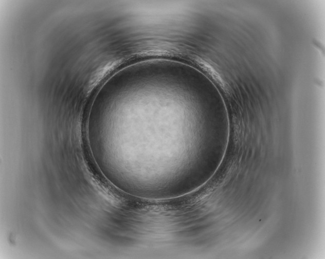 X0000094210482200710261213