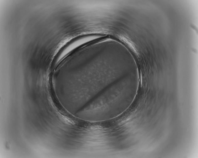 X0000094210483200710261213
