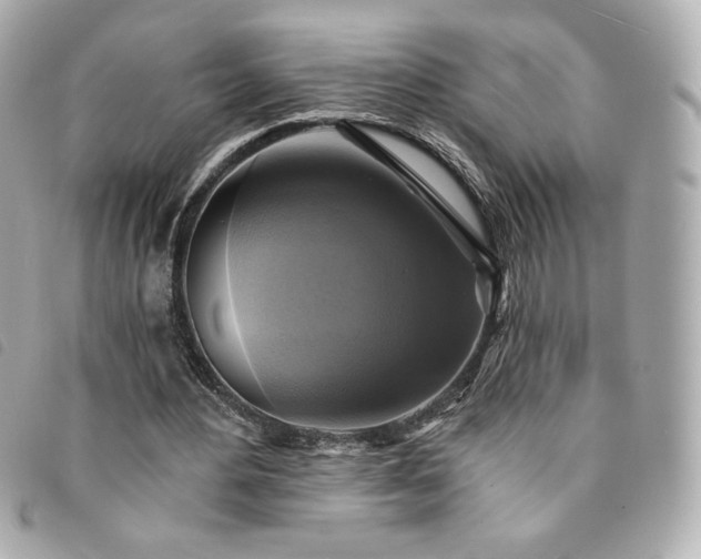 X0000094210484200710261213
