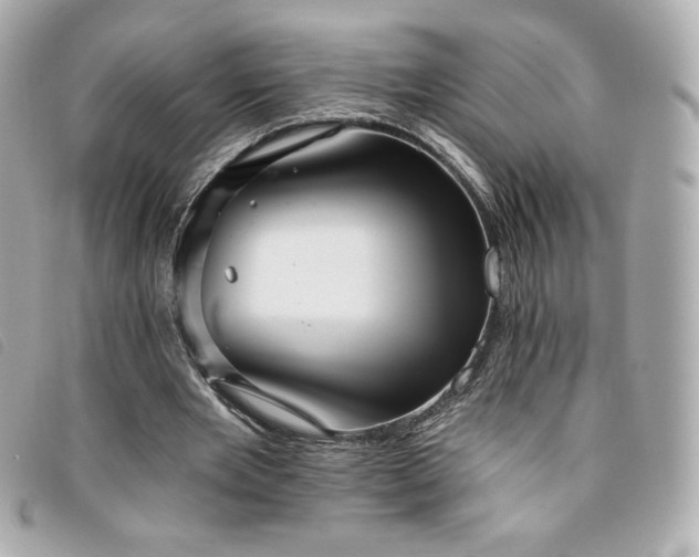 X0000094210485200710261213