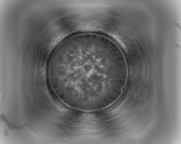 X0000094210487200710261213