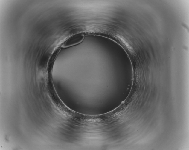 X0000094210488200710261213