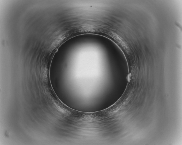 X0000094210489200710261213