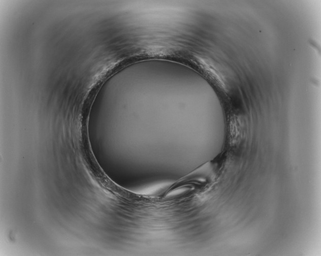 X0000094210492200710261213