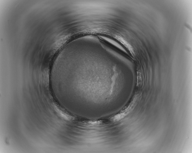 X0000094210493200710261213