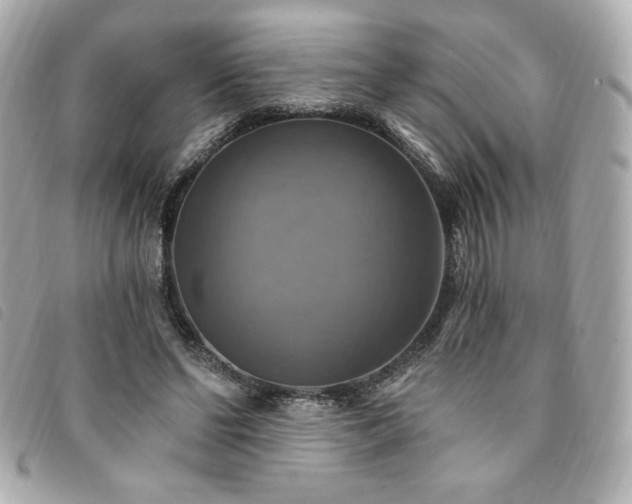X0000094210494200710261213