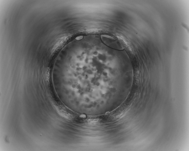 X0000094210495200710261213
