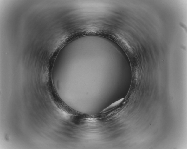 X0000094210496200710261213
