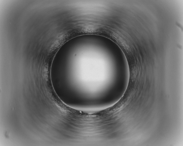 X0000094210497200710261213