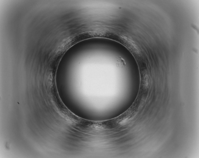 X0000094210498200710261213