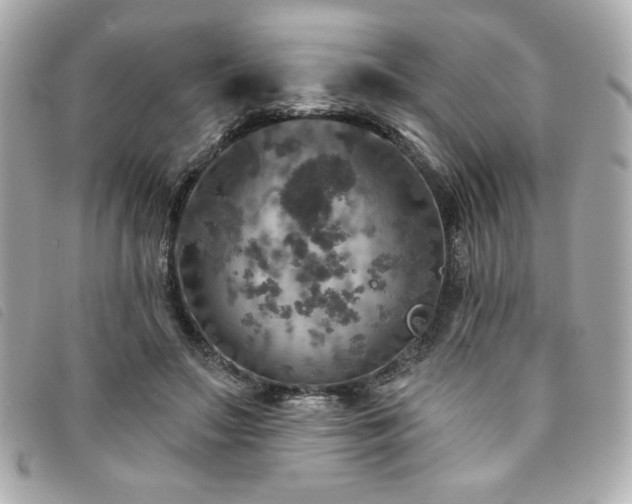 X0000094210499200710261213