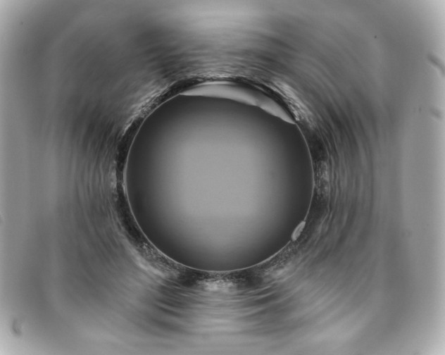 X0000094210500200710261213