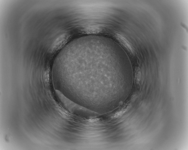 X0000094210501200710261213