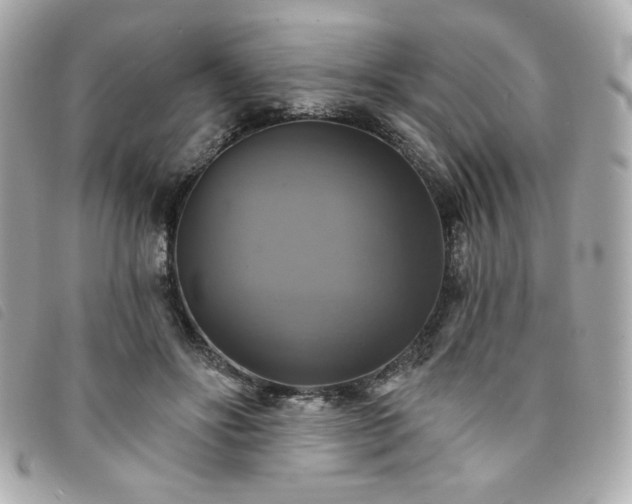 X0000094210502200710261213