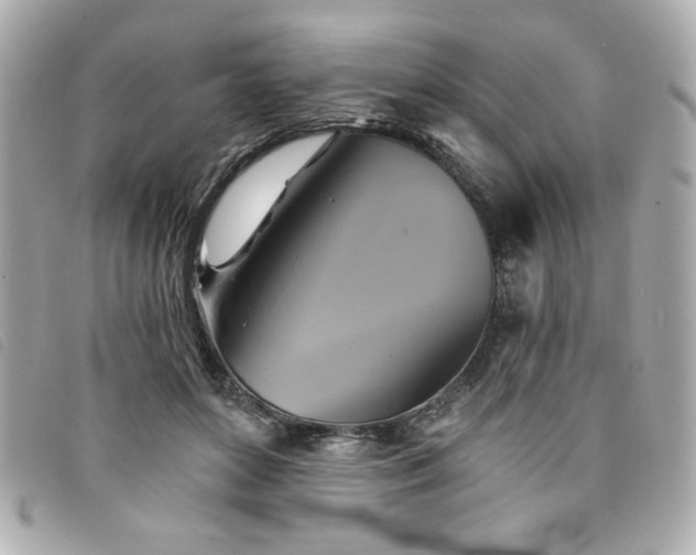 X0000094210504200710261213