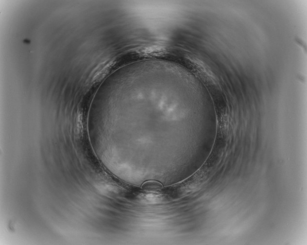 X0000094210506200710261213
