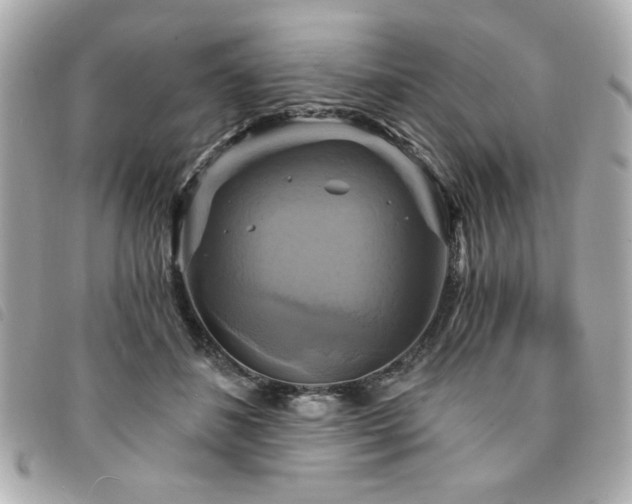 X0000094210508200710261213