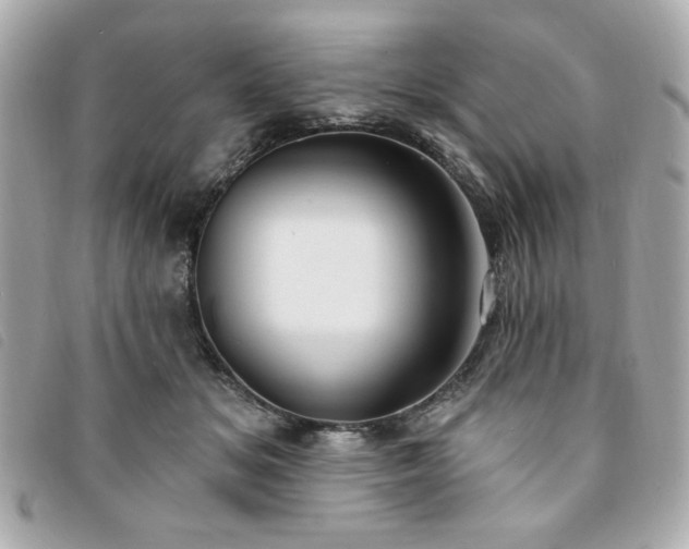 X0000094210509200710261213