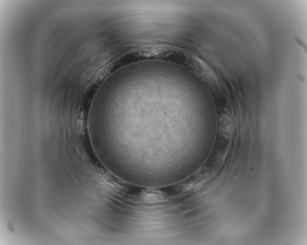 X0000094210510200710261213
