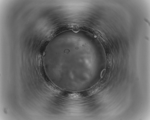 X0000094210511200710261213