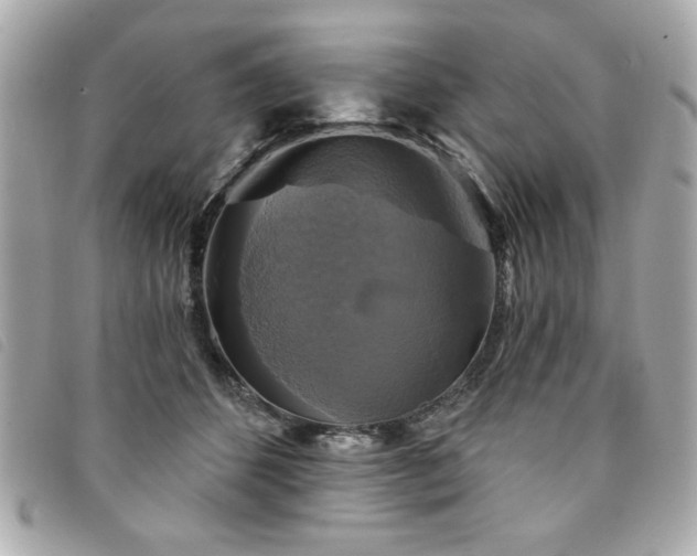 X0000094210512200710261213