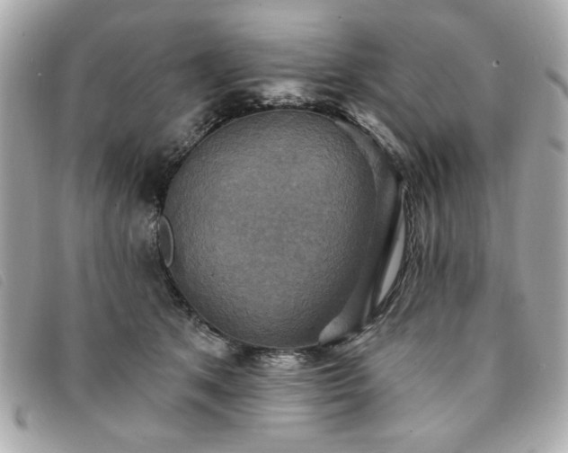 X0000094210513200710261213