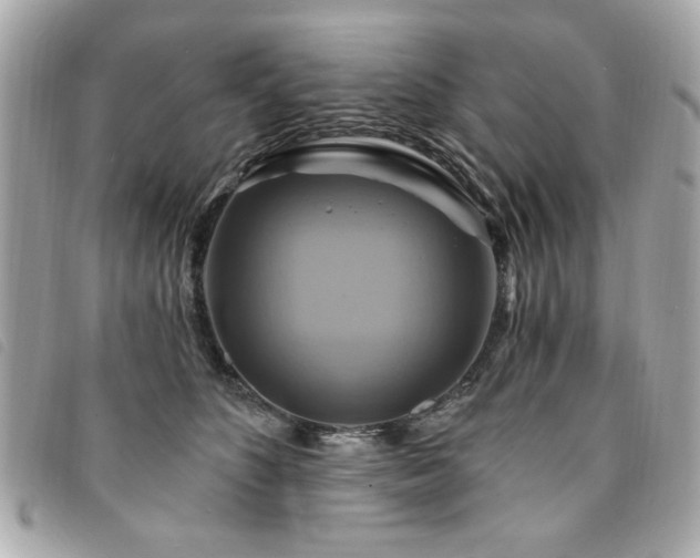 X0000094210516200710261213