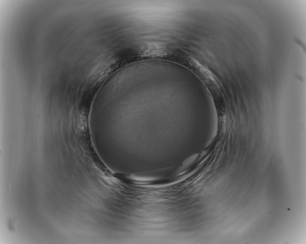 X0000094210517200710261213