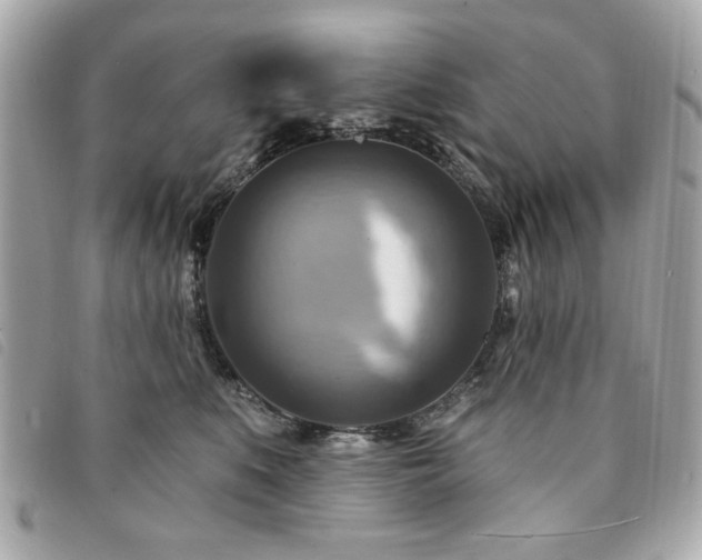X0000094210519200710261213