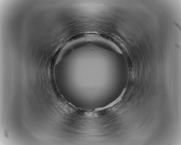 X0000094210520200710261213