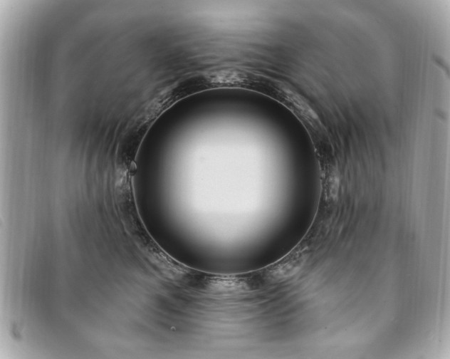 X0000094210521200710261213