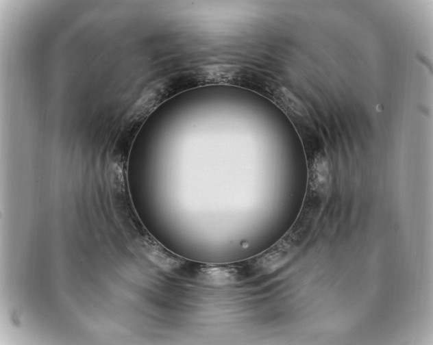 X0000094210522200710261213