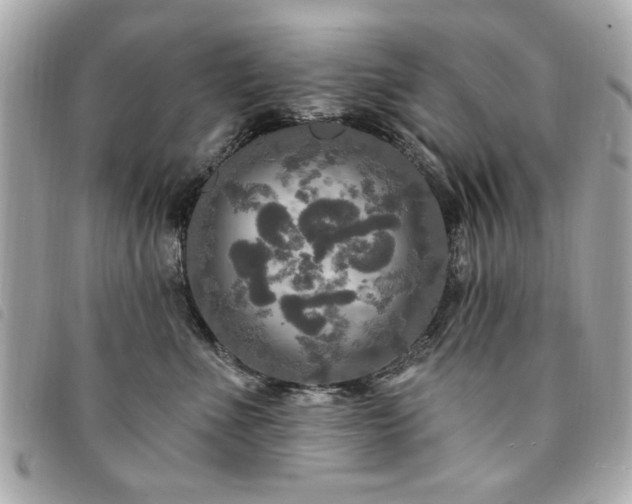 X0000094210523200710261213