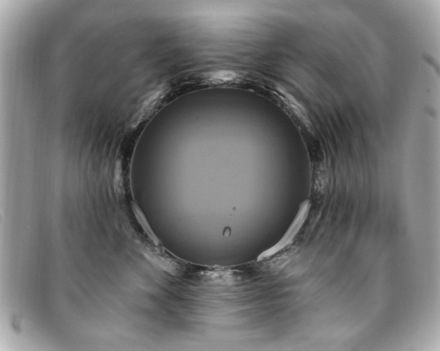 X0000094210524200710261213