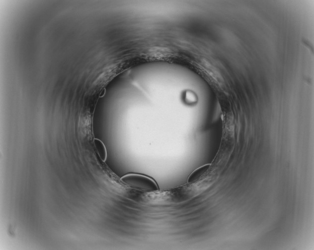 X0000094210526200710261213