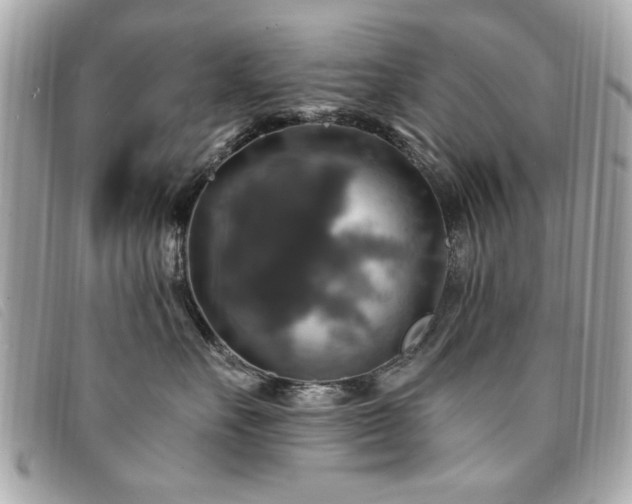 X0000094210527200710261213