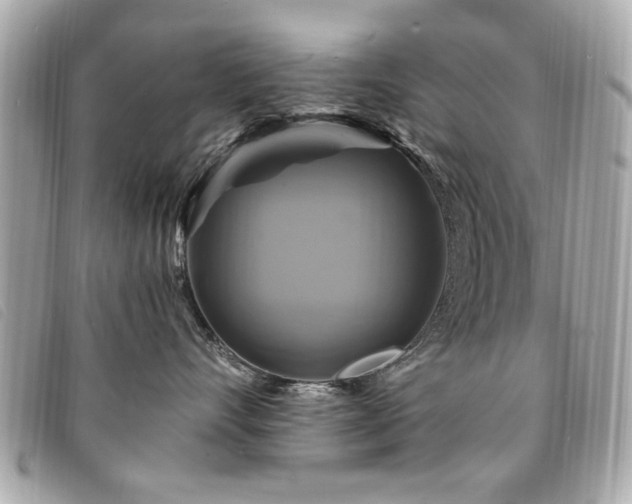 X0000094210528200710261213