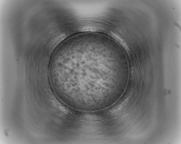 X0000094210529200710261212