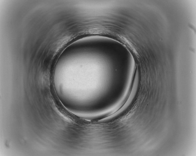 X0000094210530200710261212