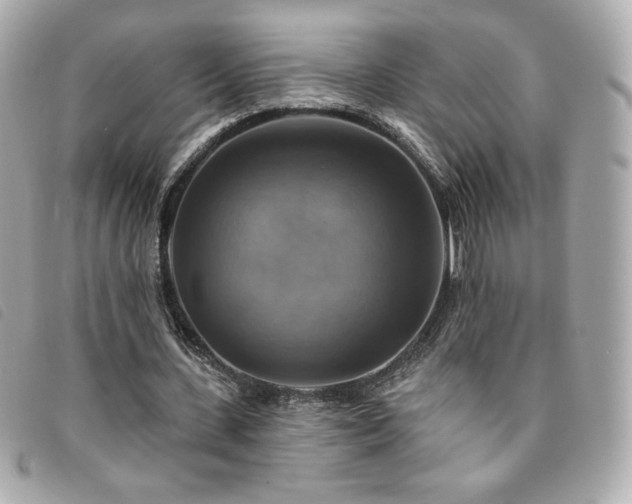 X0000094210531200710261212