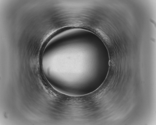 X0000094210532200710261212
