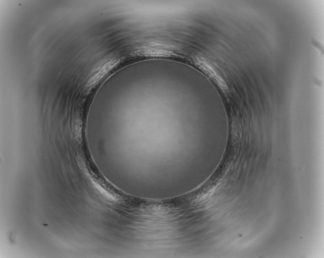 X0000094210533200710261212